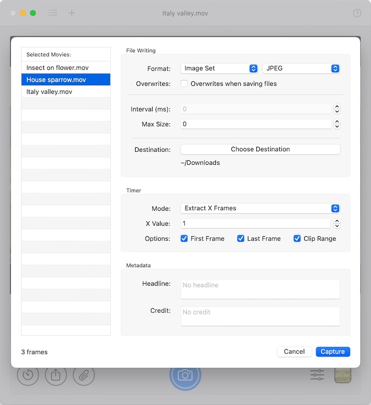 SnapMotion - Batch processing